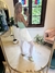 MAXI FALDA BEGONIA - tienda online