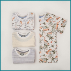 Remera Pictor Van T12 - tienda online