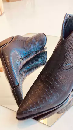 TAYLOR Croco en internet