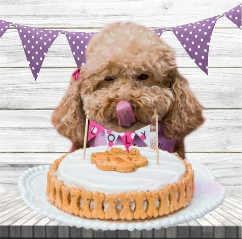 TORTA GUAU (16CM)