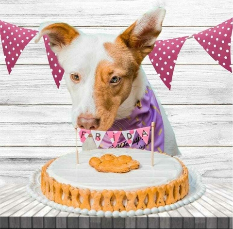 TORTA WUFF (19CM)