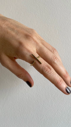 ANILLO BRUNO - BOURDIEU 