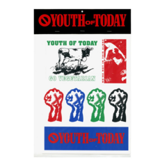 Youth of today - Pack de stickers extra grande - comprar online