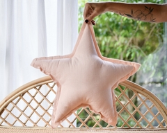 Imagen de Almohadones Estrella
