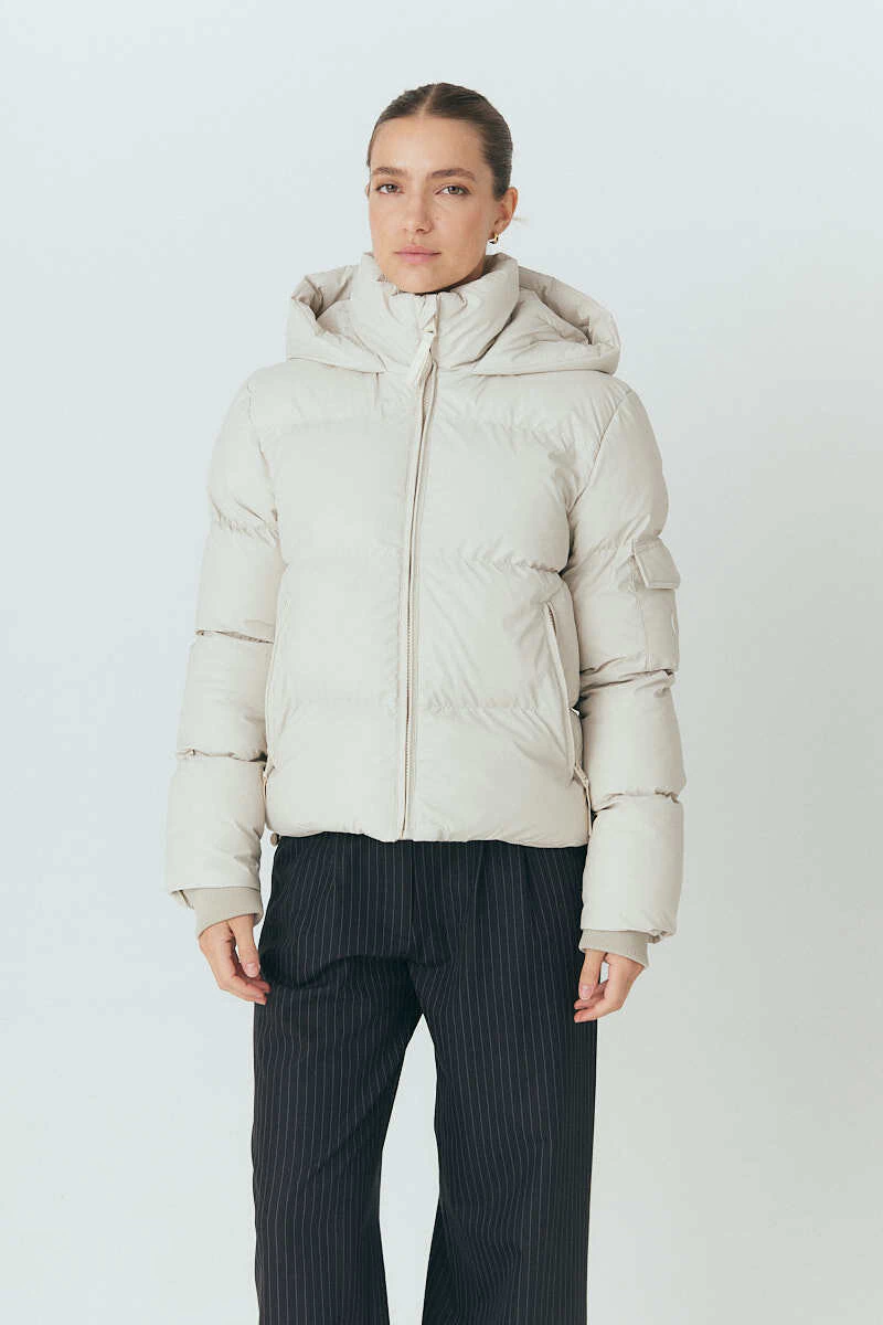 Puffer Vilna (36102)