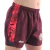 Short De Rugby Niños Gales 2024 - Imago en internet