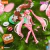 Action Figure Sakura Miku - Fantastic Series 02 - Blokees - Joker Store