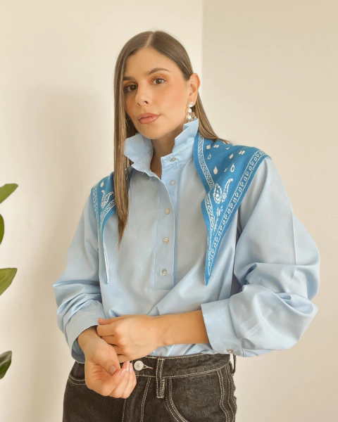 Camisa P.017 AZUL - tienda online