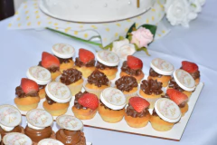 Finger Food 20 unidades en internet