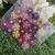 1919 - Adesivos mini flor pacote com 20 unidades - comprar online