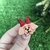 1743 - Adesivos cachorrinha pacote com 20 unidades - comprar online