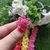 3315 - Laços para penteado pacote com 30 unidades (cores sortidas)