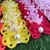 3452 - Laços médios com 32 unidades (cores podem variar) - loja online