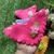 3819 -Gargantilhas flor em feltro pacote com 20 unidades - comprar online