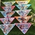 3995 -Bandana P Patruha Canina Pool Party pacote com 10 unidades - comprar online