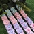 4074 - Flores para penteado Pacote com 20 unidades - loja online