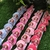 4152 - Laços pequenos princesa sofia pacote com 20 unidades - Rô Laços