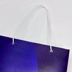 Bolsa Divertidamente - Engv Grafica e Sublimação