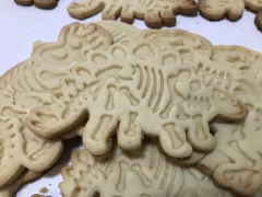 cortante galletitas dinosaurio stegosaurus bones 11 x 07 C614 en internet