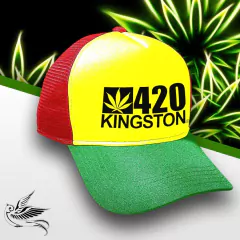 BONÉ 420 KINGSTON - comprar online