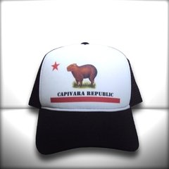 BONÉ CAPIVARA REPUBLIC - loja online