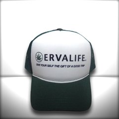 BONÉ ERVALIFE - loja online