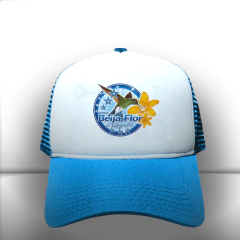 BONÉ ESCOLA DE SAMBA BEIJA FLOR