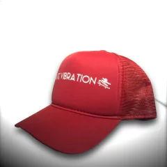 BONÉ SKATE VIBRATION - comprar online