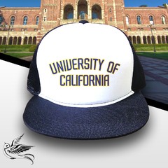 BONÉ UNIVERSITY OF CALIFORNIA