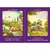 Tarot de los Animales en internet