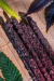 Imagen de Sahumerio Watermelon Wonder THC
