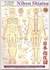 Mapa Nihon Shiatsu PLASTIFICADO - JOJI ENOMOTO