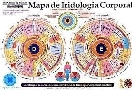 Mapa de Iridologia corporal PLASTIFICADO - Enómoto