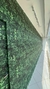Papel de Parede Floral Design Jardim Vertical Folhagem Exuberante Natural Detalhado em Tons de Verde - DPFL405 - comprar online