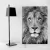 Quadro Decorativo Placa MDF O Rei da Selva Leão Grafitte