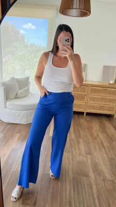 Palazzo Ariana en internet