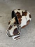Cinto VIBE COW - Ver colores - Million