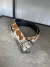 Cinto VIBE COW - Ver colores - comprar online