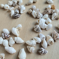 Dijes Caracol Pack x10 en internet