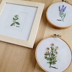 Diseño impreso de hierbas y arománticas Pack x6 diseños listos para bordar! en internet