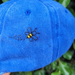 Bordá tu gorra! Gorra + diseño impreso en hidrotela autoadhesiva listos para bordar! en internet