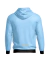 Buzo Hoodie Argentina mod 30 - comprar online