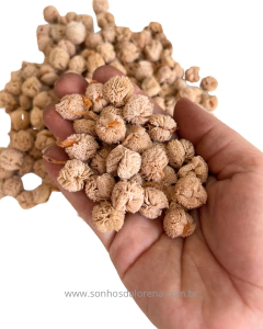 POMPONS DE MALHA 1,5CM BEGE (10 UNIDADES) - comprar online
