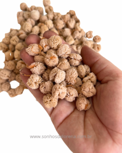 KIT COM 10 POMPONS DE MALHA DE 1,5CM BEGE - comprar online