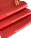 LONITA VERNIZ SUN 50X22CM UNIDADE