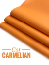 LONITA NAPA FOSCA 22X50 CARMELIAN UNIDADE