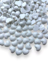 APLIQUE CORAÇÃO BRANCO 20GRAMAS (APROXIMADAMENTE 17 UNIDADES) - comprar online