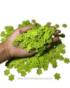 FLOR PRENSADA COM 05 GRAMAS APROXIMADAMENTE 50 UNIDADES VERDE FOLHA