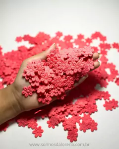 FLOR PRENSADA COM 05 GRAMAS APROXIMADAMENTE 50 UNIDADES CORAL na internet
