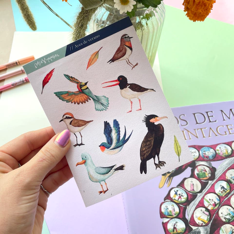 Stickers Dibus Aves - comprar online